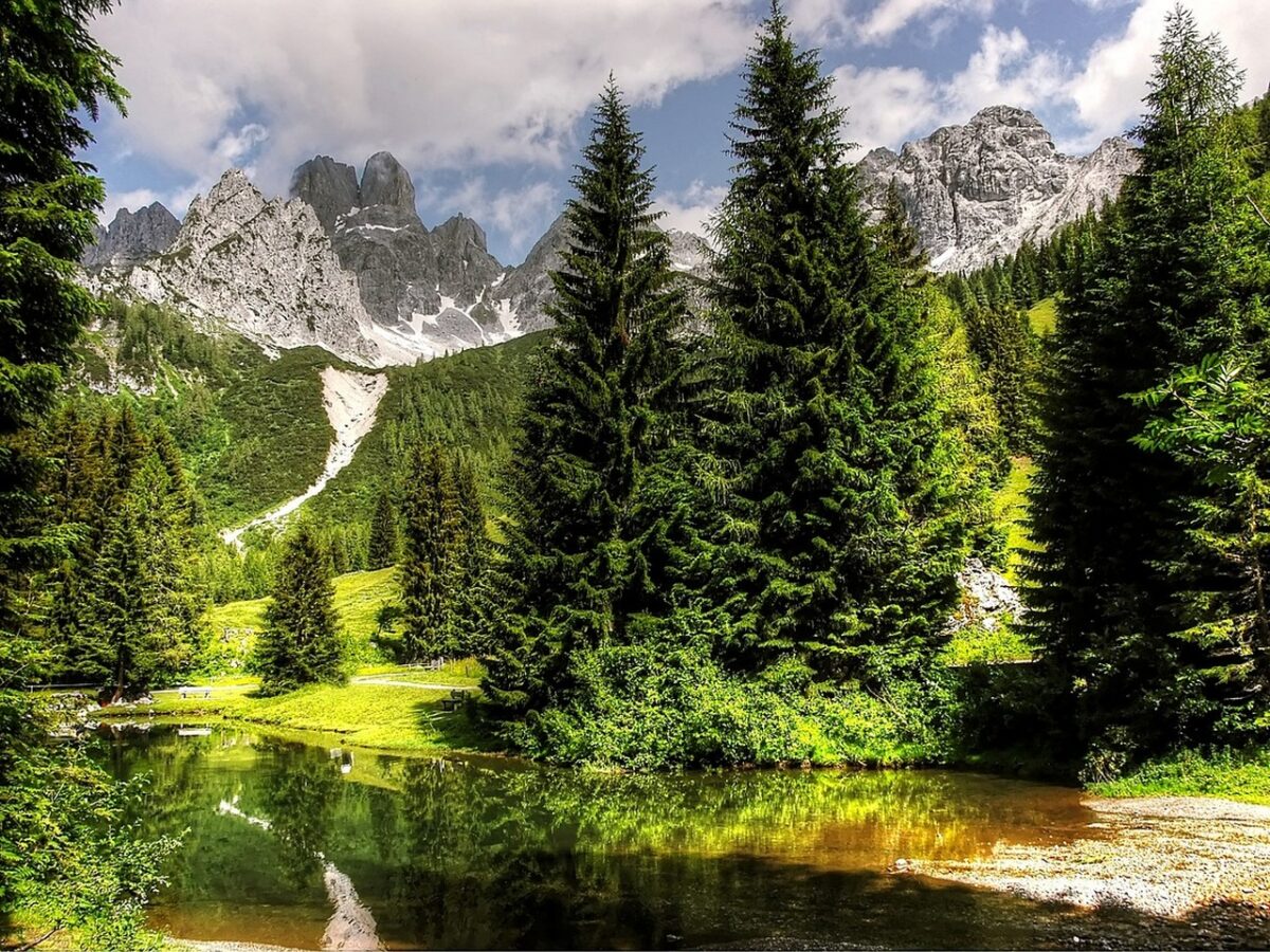 Schönbrunner Park Österreich Reisegruppe